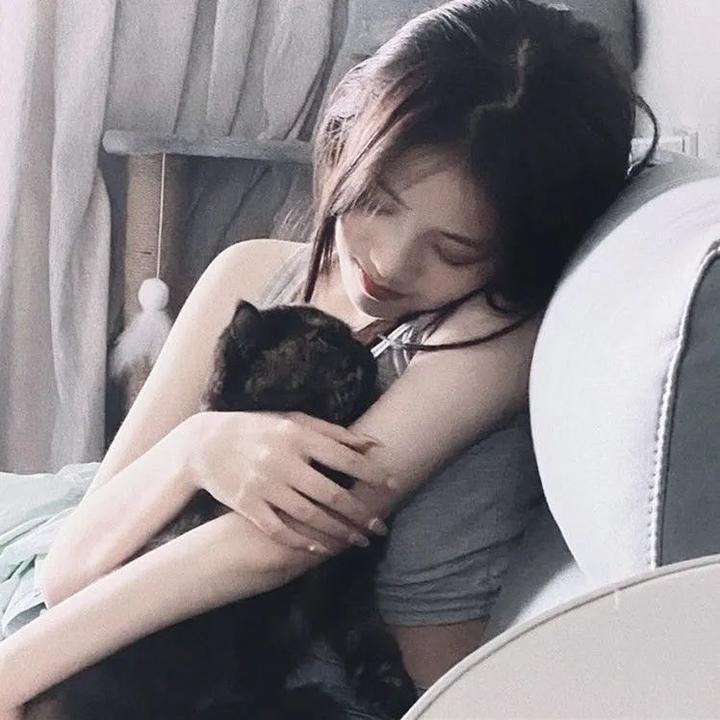 沙漠玫瑰 封面