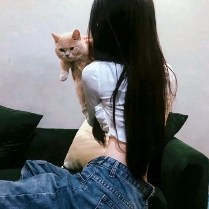 沙胆小子 封面